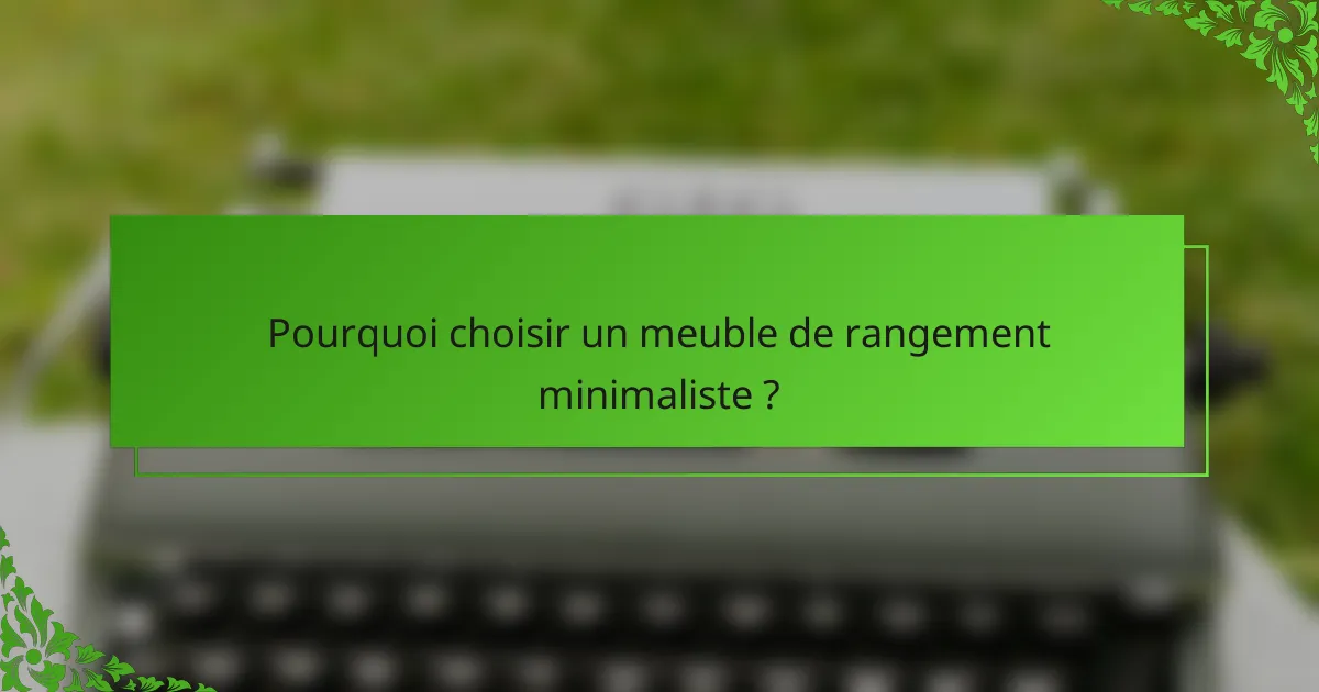 Pourquoi choisir un meuble de rangement minimaliste ?