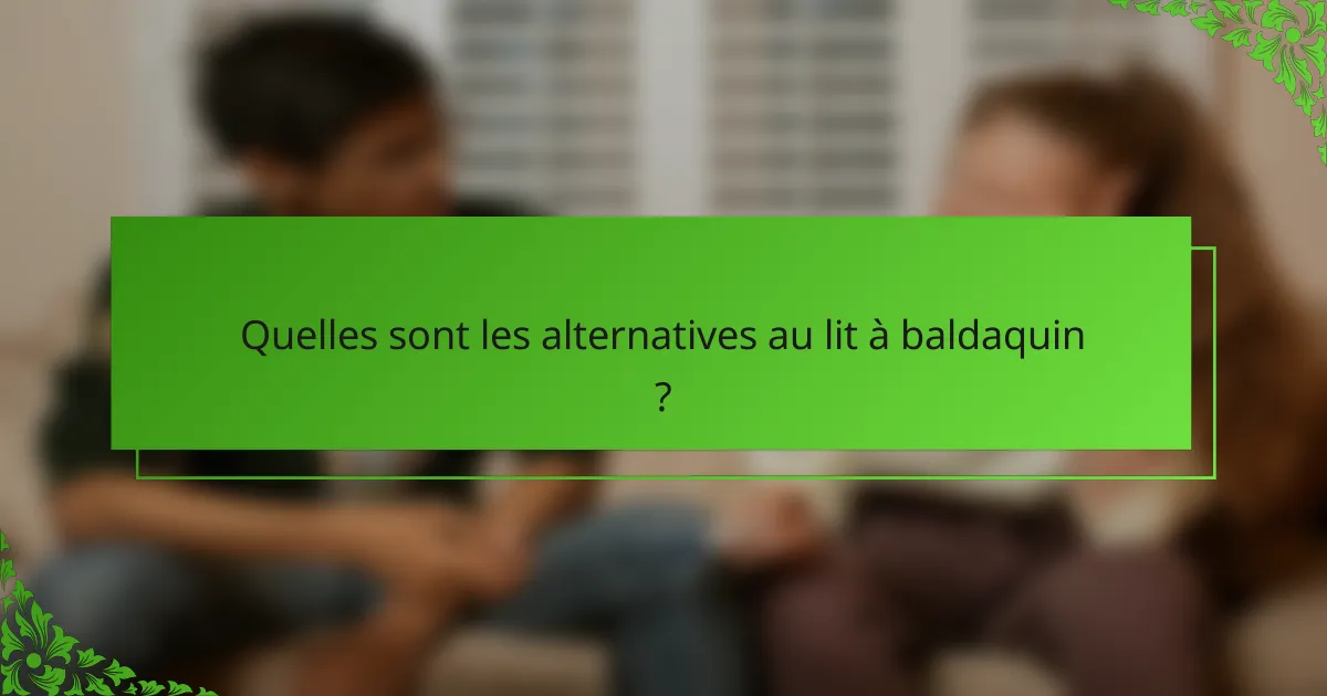 Quelles sont les alternatives au lit à baldaquin ?
