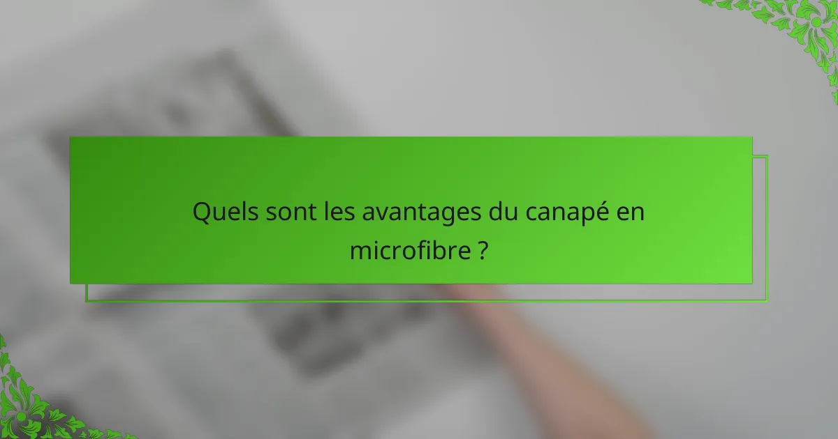 Quels sont les avantages du canapé en microfibre ?
